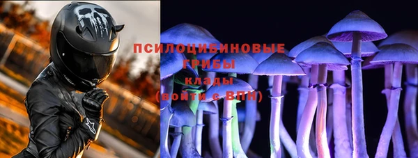 бошки Анива