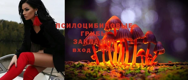 крисы Алексеевка