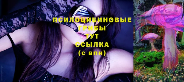 а пвп мука Алзамай