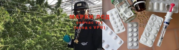 а пвп мука Алзамай