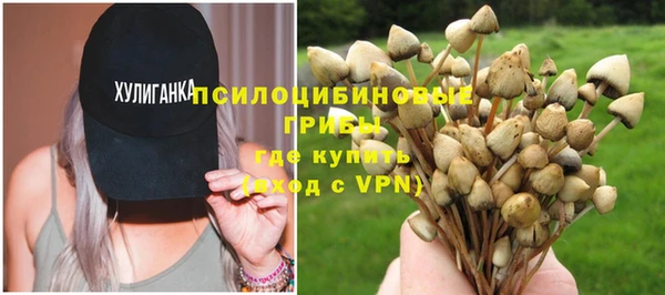 бошки Апатиты